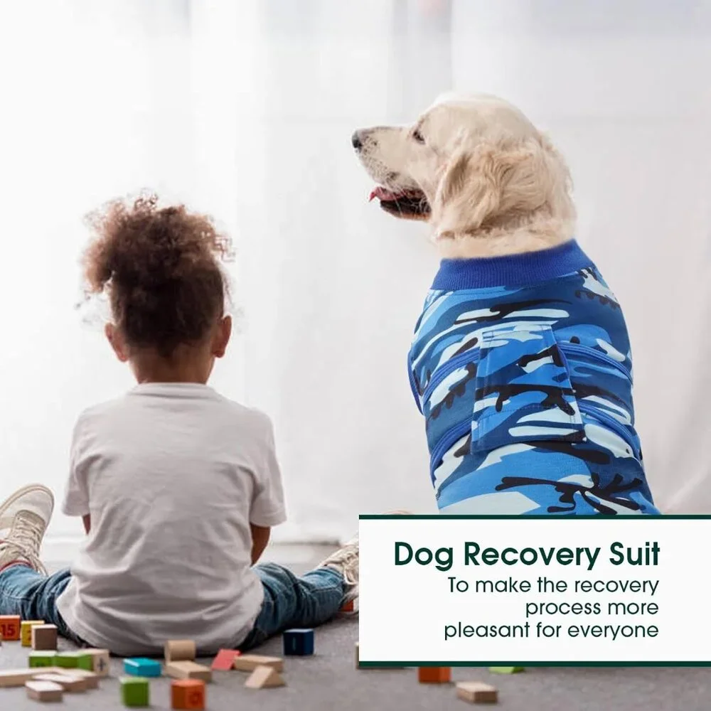 Recovery Suit for Dogs Cats After Surgery